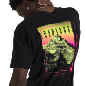 REMERA M S/S RED BOX ACONCAGUA HEAVYW TEE GRAPHIC