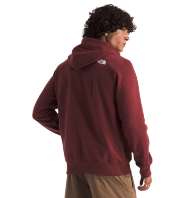 BUZO THE NORTH FACE IMMERSED OUTDOORS H DOME HOODIE GRAPHIC - Image 2