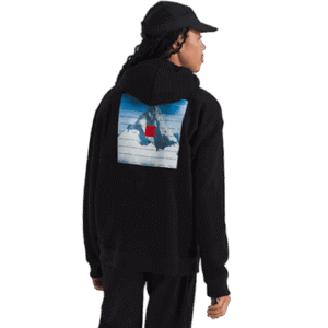 BUZO THE NORTH FACE M RED BOX ACONCAGUA HEAVYWEIGHT