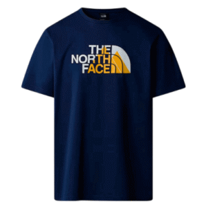 REMERA THE NORTH FACE M BINER GRAPHIC 1