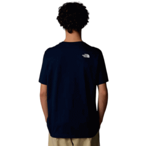 REMERA THE NORTH FACE M BINER GRAPHIC 1