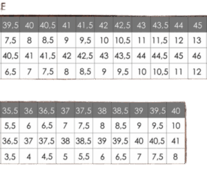 ZAPATILLA THE NORTH FACE W ALTAMESA 300